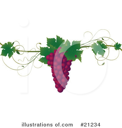 Grape Vine Clipart #21234 by elaineitalia