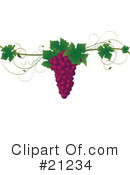 Grapes Clipart #21234 by elaineitalia