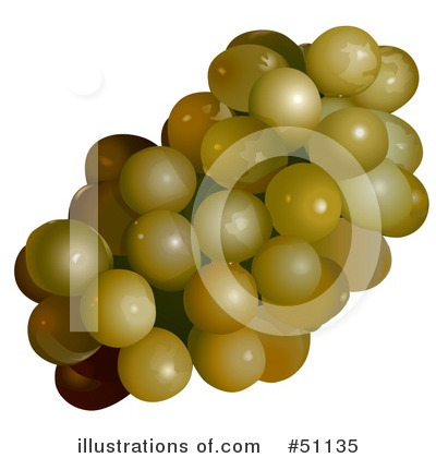 Royalty-Free (RF) Grapes Clipart Illustration by dero - Stock Sample #51135