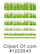 Grass Clipart #1223543 by vectorace