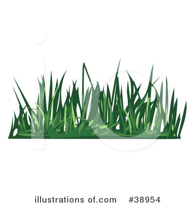 Grass Clipart #38954 by Tonis Pan