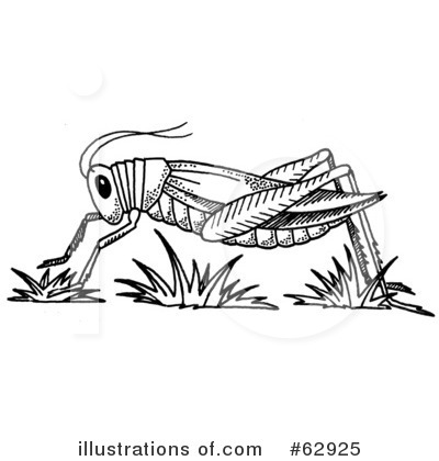 Grasshopper Clipart #62925 by LoopyLand