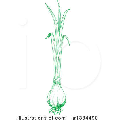 Green Onions Clipart #1384490 by Vector Tradition SM
