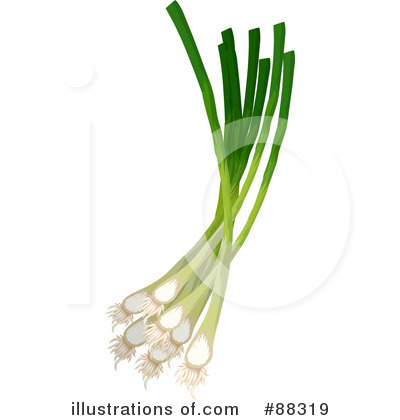 Onion Clipart #88319 by Tonis Pan