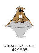 Groundhog Clipart #29885 by Spanky Art