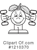 Guava Clipart #1210370 by Lal Perera