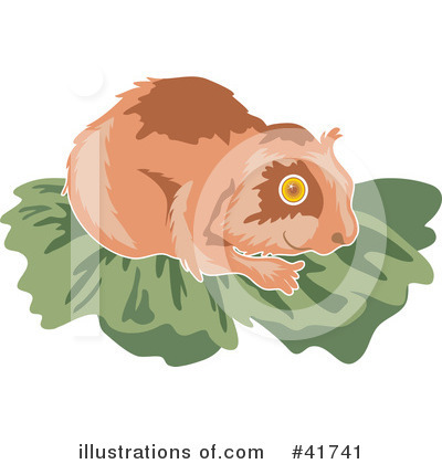 Royalty-Free (RF) Hamster Clipart Illustration by Prawny - Stock Sample #41741