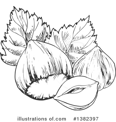 Royalty-Free (RF) Hazelnut Clipart Illustration by Vector Tradition SM - Stock Sample #1382397
