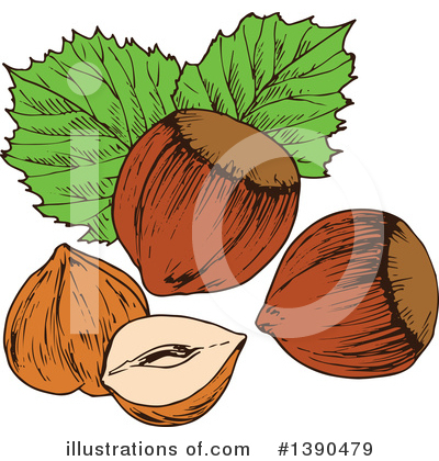 Hazelnut Clipart #1390479 by Vector Tradition SM
