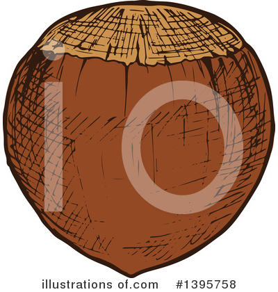 Royalty-Free (RF) Hazelnut Clipart Illustration by Vector Tradition SM - Stock Sample #1395758