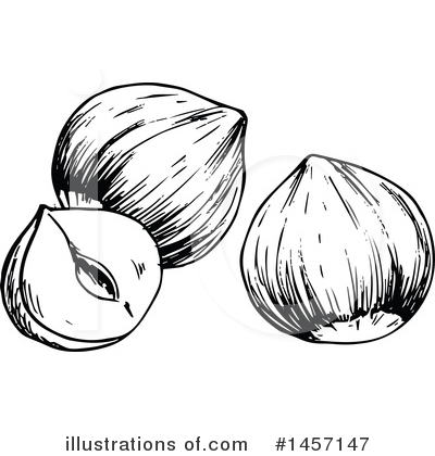 Royalty-Free (RF) Hazelnut Clipart Illustration by Vector Tradition SM - Stock Sample #1457147