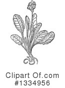 Herb Clipart #1334956 by Picsburg