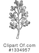 Herb Clipart #1334957 by Picsburg