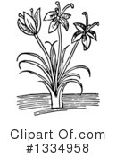 Herb Clipart #1334958 by Picsburg