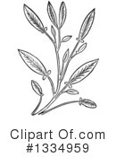 Herb Clipart #1334959 by Picsburg