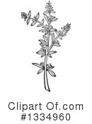 Herb Clipart #1334960 by Picsburg