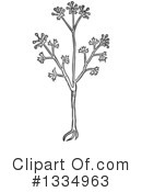 Herb Clipart #1334963 by Picsburg