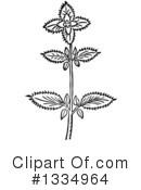 Herb Clipart #1334964 by Picsburg