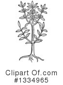 Herb Clipart #1334965 by Picsburg