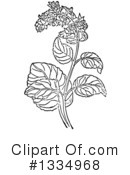 Herb Clipart #1334968 by Picsburg