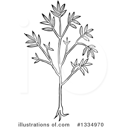 Herb Clipart #1334970 by Picsburg