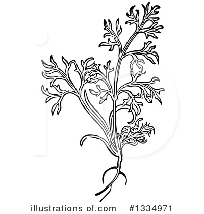 Herb Clipart #1334971 by Picsburg