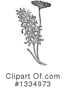 Herb Clipart #1334973 by Picsburg