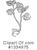 Herb Clipart #1334975 by Picsburg