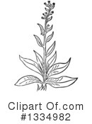 Herb Clipart #1334982 by Picsburg
