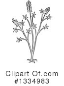 Herb Clipart #1334983 by Picsburg