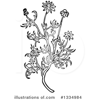 Royalty-Free (RF) Herb Clipart Illustration by Picsburg - Stock Sample #1334984
