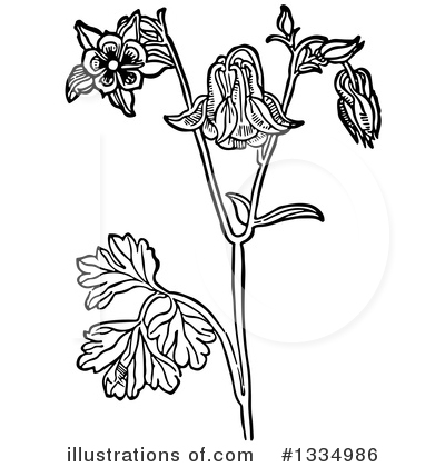 Royalty-Free (RF) Herb Clipart Illustration by Picsburg - Stock Sample #1334986