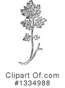 Herb Clipart #1334988 by Picsburg