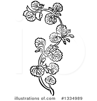 Royalty-Free (RF) Herb Clipart Illustration by Picsburg - Stock Sample #1334989
