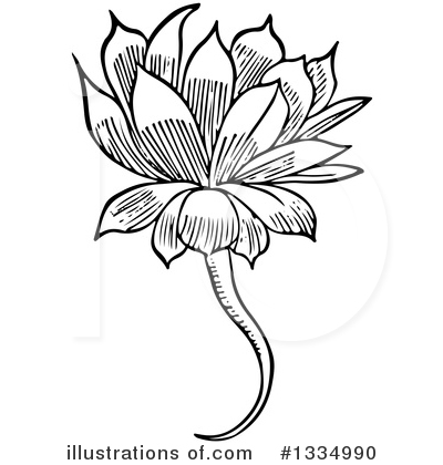 Flower Clipart #1334990 by Picsburg
