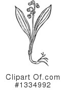 Herb Clipart #1334992 by Picsburg