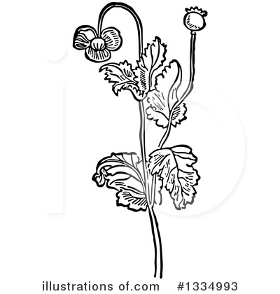 Flowers Clipart #1334993 by Picsburg