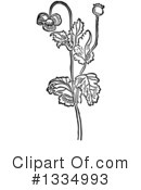 Herb Clipart #1334993 by Picsburg