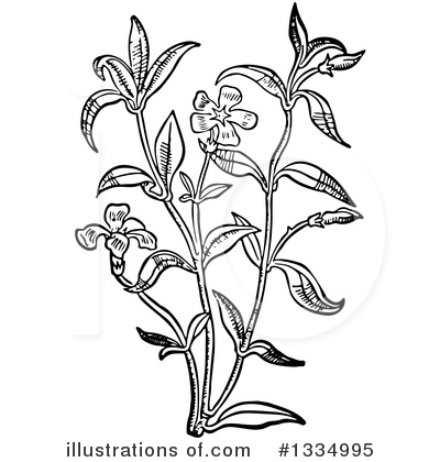 Flower Clipart #1334995 by Picsburg