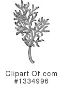 Herb Clipart #1334996 by Picsburg