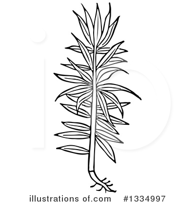 Royalty-Free (RF) Herb Clipart Illustration by Picsburg - Stock Sample #1334997