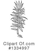 Herb Clipart #1334997 by Picsburg