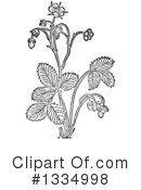 Herb Clipart #1334998 by Picsburg