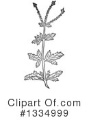 Herb Clipart #1334999 by Picsburg