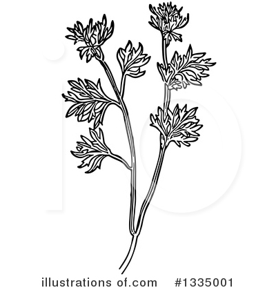 Royalty-Free (RF) Herb Clipart Illustration by Picsburg - Stock Sample #1335001