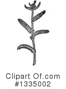Herb Clipart #1335002 by Picsburg