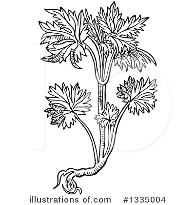 Royalty-Free (RF) Herb Clipart Illustration by Picsburg - Stock Sample #1335004