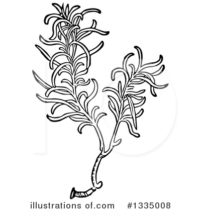 Royalty-Free (RF) Herb Clipart Illustration by Picsburg - Stock Sample #1335008