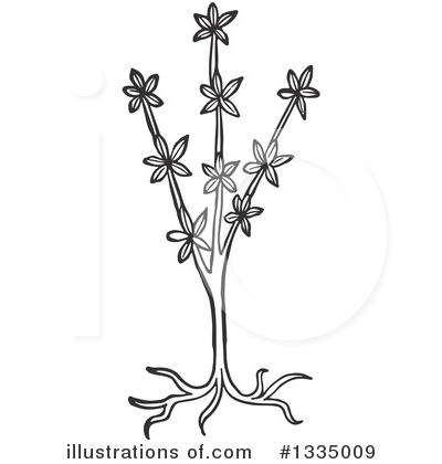 Flowers Clipart #1335009 by Picsburg