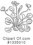 Herb Clipart #1335010 by Picsburg